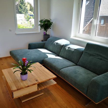Spacy Apartment Next To The Center Of Graz With Terrasse Экстерьер фото