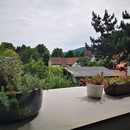 Spacy Apartment Next To The Center Of Graz With Terrasse Экстерьер фото