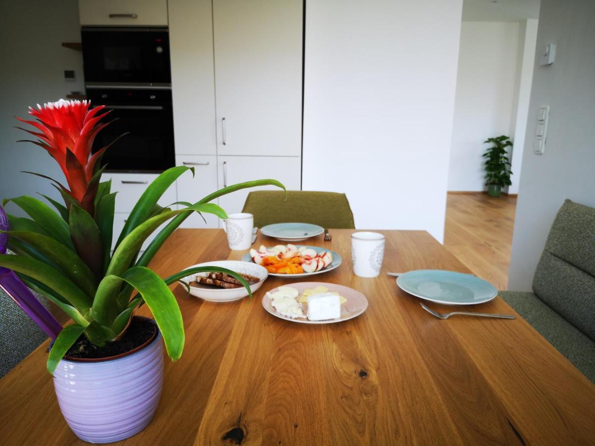 Spacy Apartment Next To The Center Of Graz With Terrasse Экстерьер фото