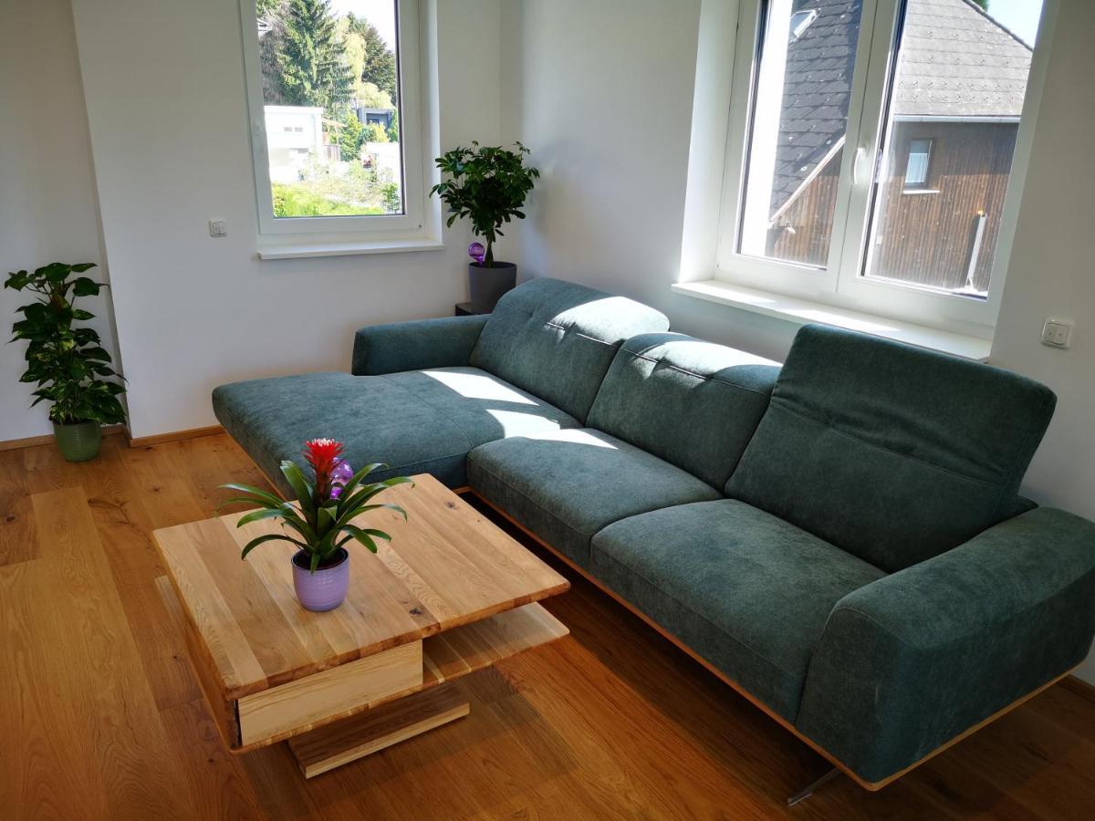 Spacy Apartment Next To The Center Of Graz With Terrasse Экстерьер фото