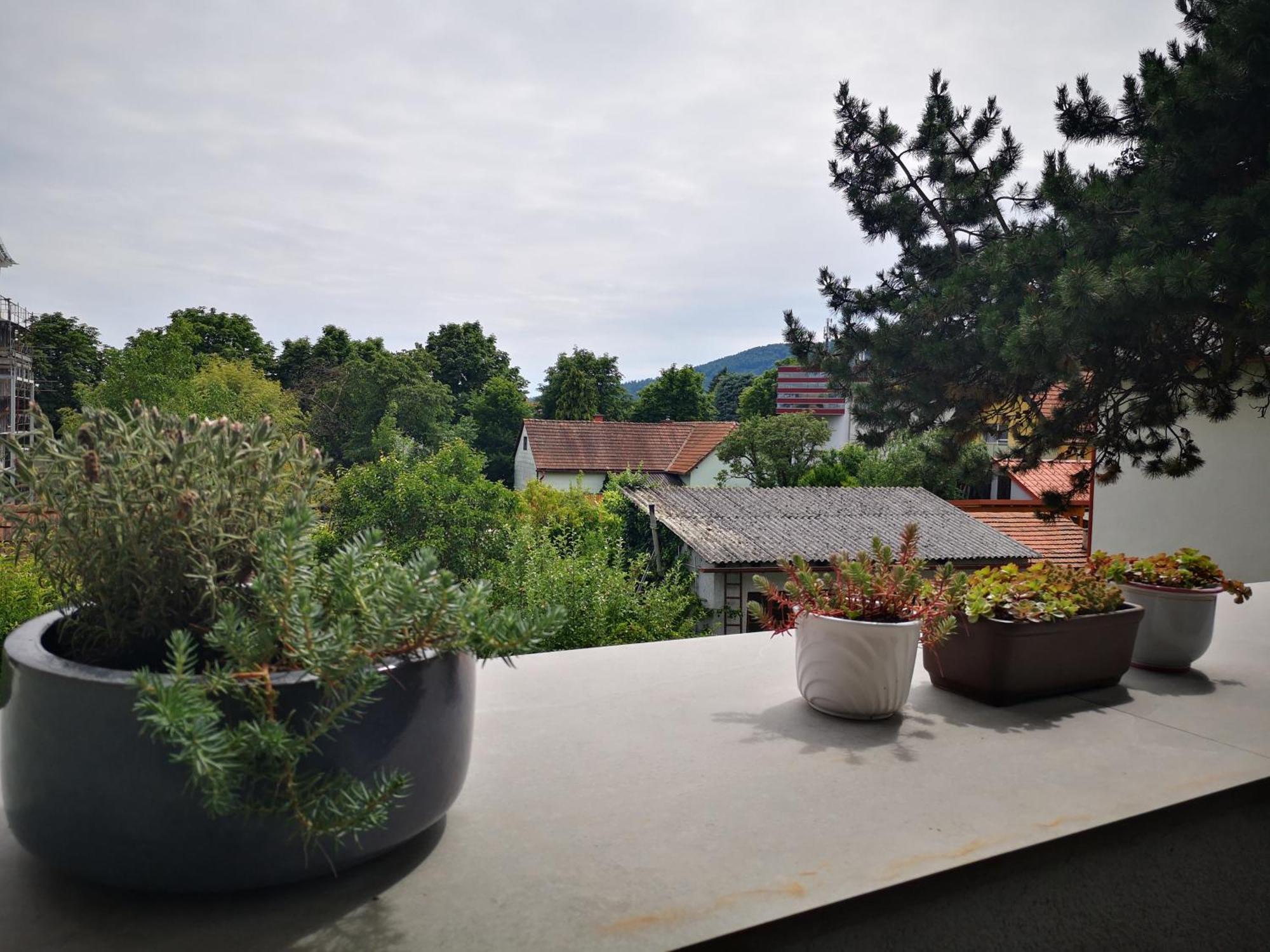 Spacy Apartment Next To The Center Of Graz With Terrasse Экстерьер фото